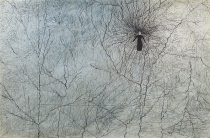 2Akwarium, banner.jpg